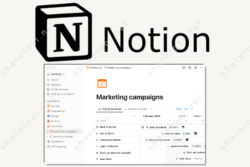 Notion Plus